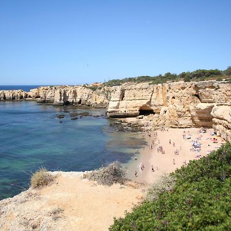 Pine Tree Apartments - Praia Da Coelha - Albufeira Eksteriør bilde