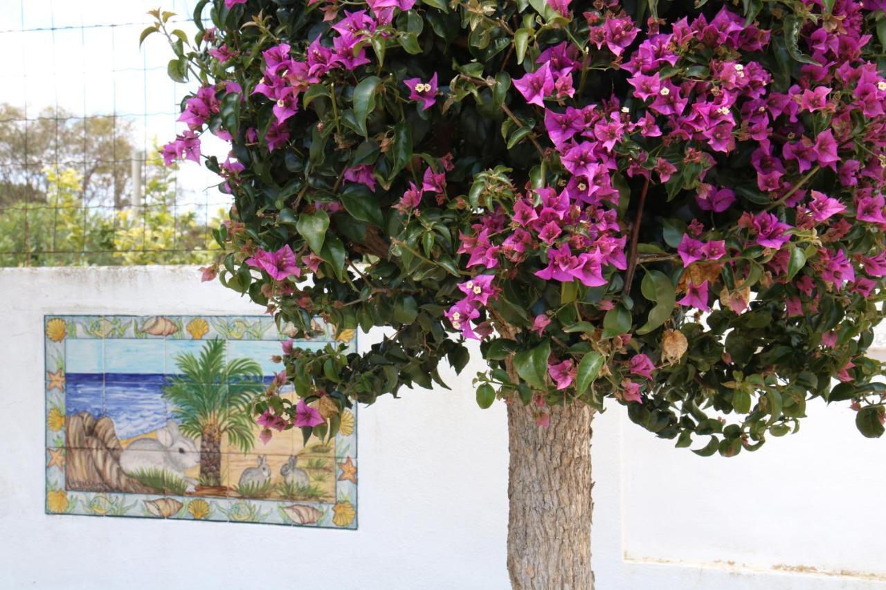 Pine Tree Apartments - Praia Da Coelha - Albufeira Eksteriør bilde
