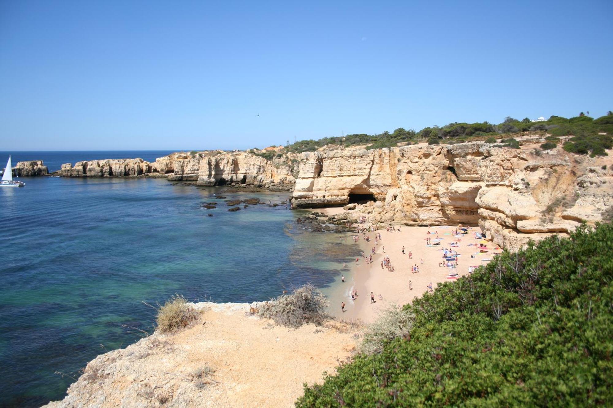 Pine Tree Apartments - Praia Da Coelha - Albufeira Eksteriør bilde